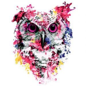 Colorful Owl Bird Head Paint By Numbers