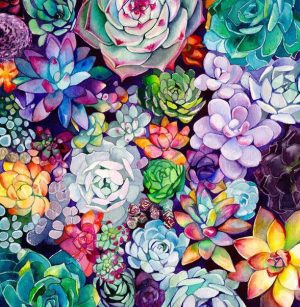 Colorful Succulents Paint By Numbers