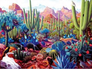 Cactus Desert Paint By Numbers