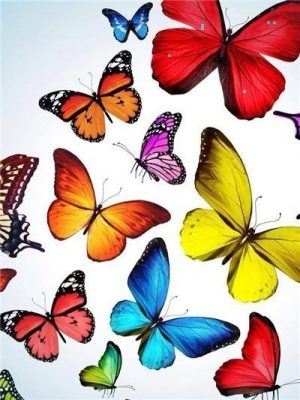 Colorful Spring Butterflies Paint By Numbers