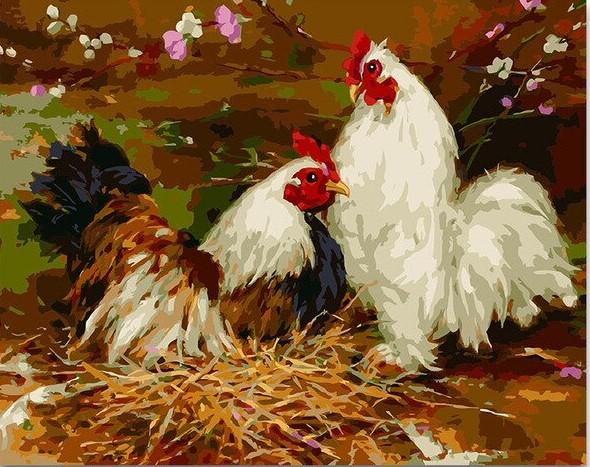 Chicken Birds Paint By Numbers
