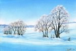Snow Trees Paint By Numbers