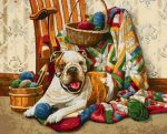 Bulldog And Yarns Paint By Numbers