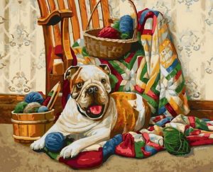 Bulldog And Yarns Paint By Numbers