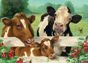 Cow Family Paint By Numbers