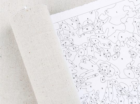 Custom painting by numbers first step