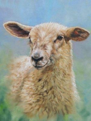 Cute Sheep Paint By Numbers