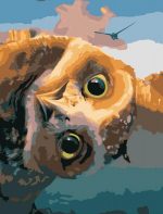 The Owls of Ga Hoole Paint By Numbers