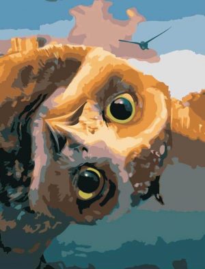 The Owls of Ga Hoole Paint By Numbers