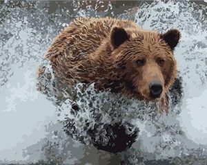 Bear In Water Paint By Numbers