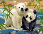 Panda And Polar Bear Paint By Numbers