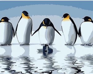 Penguin Birds Paint By Numbers