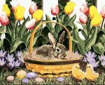 Bunny In A Basket Paint By Numbers