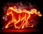 Horse of fire Animals Paint By Numbers