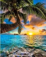 Seaside Palm Tree Paint By Numbers