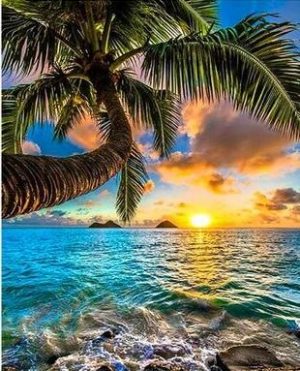 Seaside Palm Tree Paint By Numbers
