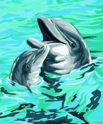 Dolphin Mother And Baby Paint By Numbers
