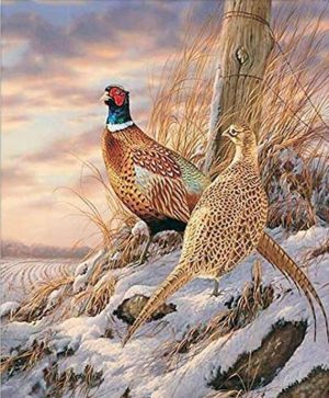 Quails In Snow Paint By Numbers