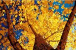 Autumn Ginkgo Tree Paint By Numbers
