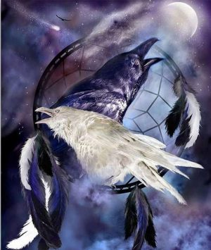 Dream Catcher Crows Paint By Numbers