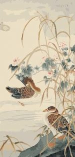 Wood Ducks Paint By Numbers