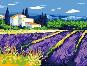 Provence Lavender Field Paint By Numbers