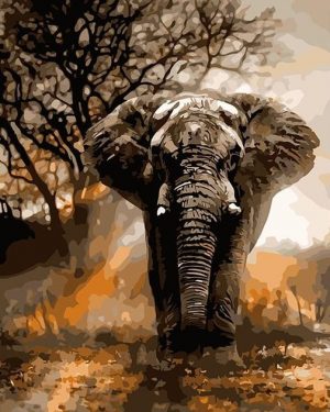 African Elephant Paint By Numbers