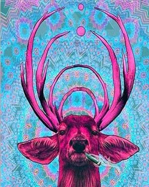 Smoking Deer Animals Paint By Numbers