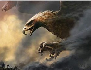 Eagle Bird Paint By Numbers