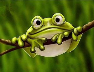 Green Frog Animals Paint By Numbers