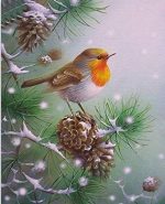 Snow Robin Bird Paint By Numbers