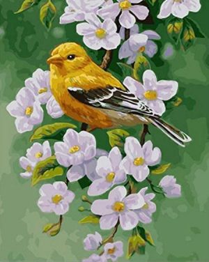Yellow Bird And Flowers Paint By Numbers