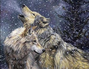 Winter Wolves Paint By Numbers