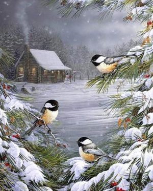 Chickadees Birds Paint By Numbers