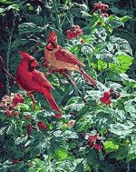 Cardinals On Tree Paint By Numbers