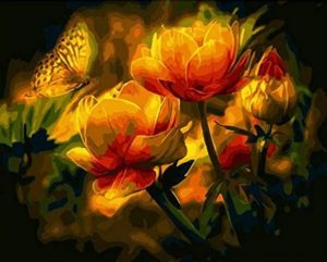 Orange Flowers And Butterfly Paint By Numbers