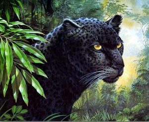 Wild Black Leopard Paint By Numbers