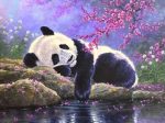 Sleeping Panda Paint By Numbers