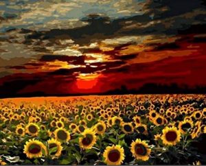 Sunflower Field Landscape Paint By Numbers