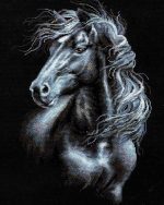 Black Horse Paint By Numbers
