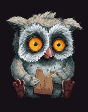 Owl Eating Biscuit Paint By Numbers