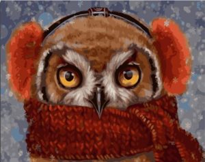 Owl Wearing Scarf Paint By Numbers