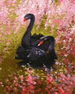 Black Swans Paint By Numbers