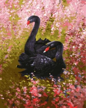 Black Swans Paint By Numbers