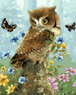 Owl And Butterflies Paint By Numbers