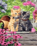 Pretty Cats Paint By Numbers