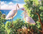 White Storks Paint By Numbers