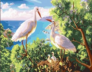 White Storks Paint By Numbers