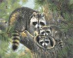 Raccoon Family Paint By Numbers