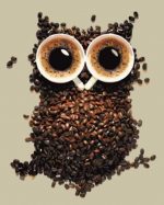 Coffee Beans Owl Paint By Numbers